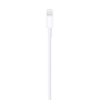 USB кабель Apple разъем Lightning, 2 м Белый USB кабель Apple разъем Lightning, 2 м Белый