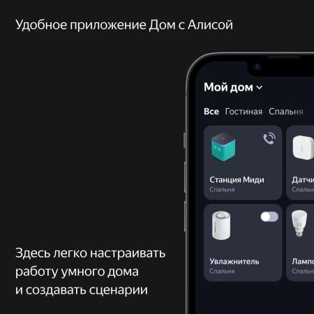 Умная колонка Яндекс.Станция Миди Черный Умная колонка Яндекс.Станция Миди Черный
