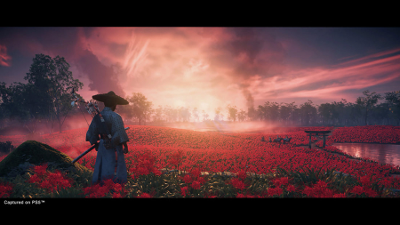 Игра Ghost of Tsushima directors cut для PlayStation 5, русская озвучка Игра Ghost of Tsushima directors cut для PlayStation 5, русская озвучка