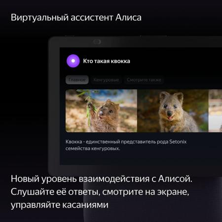 Умная колонка Яндекс.Станция Дуо Макс Красный Умная колонка Яндекс.Станция Дуо Макс Красный